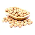 Çıtır Sarı Leblebi 500 g