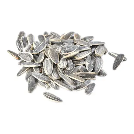 Tuzlu Siyah Ay Çekirdeği 250 g